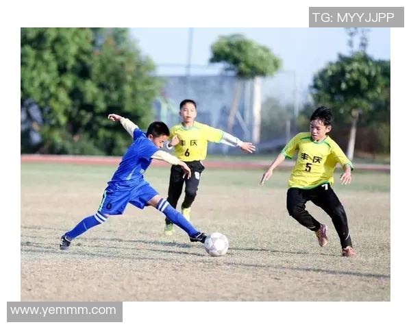 从绿茵到荣耀足球星视界4.23解读赛场风云与球员传奇